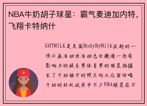 NBA牛奶胡子球星：霸气麦迪加内特，飞翔卡特纳什