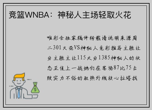 竞篮WNBA：神秘人主场轻取火花